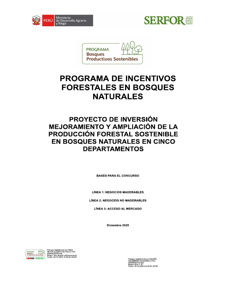 Bases Definitivas PIF | PDF