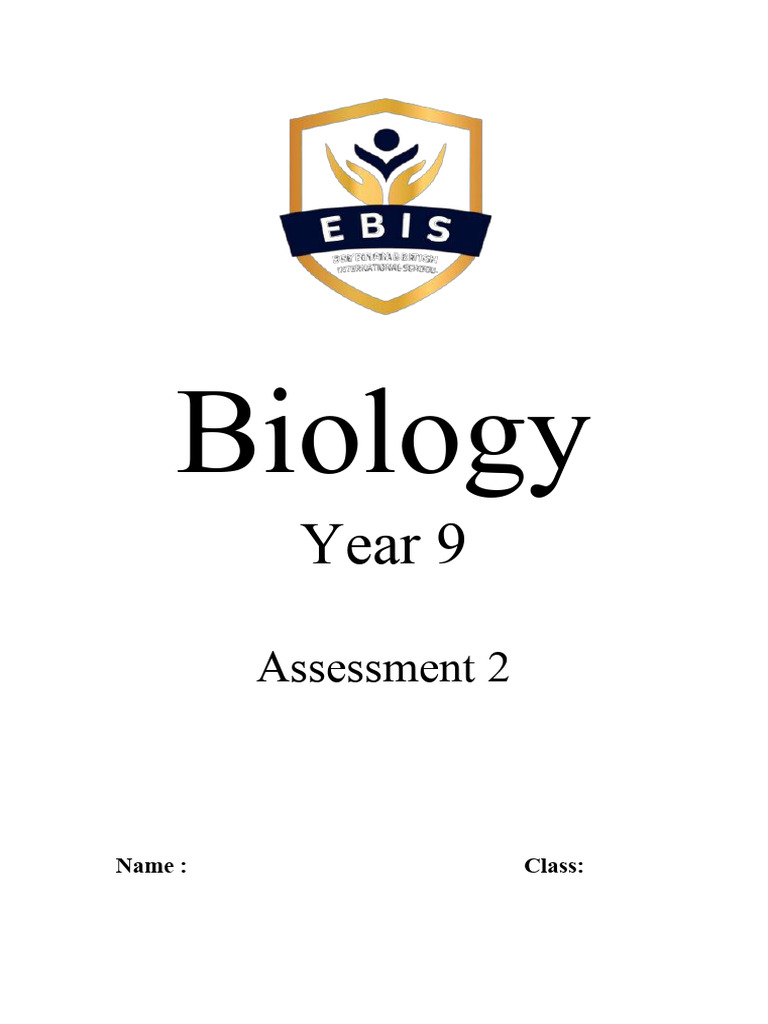assess 2 c | PDF