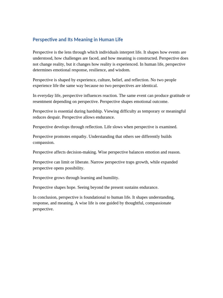 Perspective 10 Pages Reflection | PDF