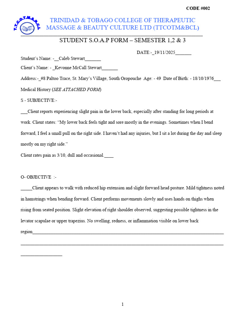 Soap Form | PDF | Massage | Clinical Medicine