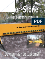Tiger-Stone 
