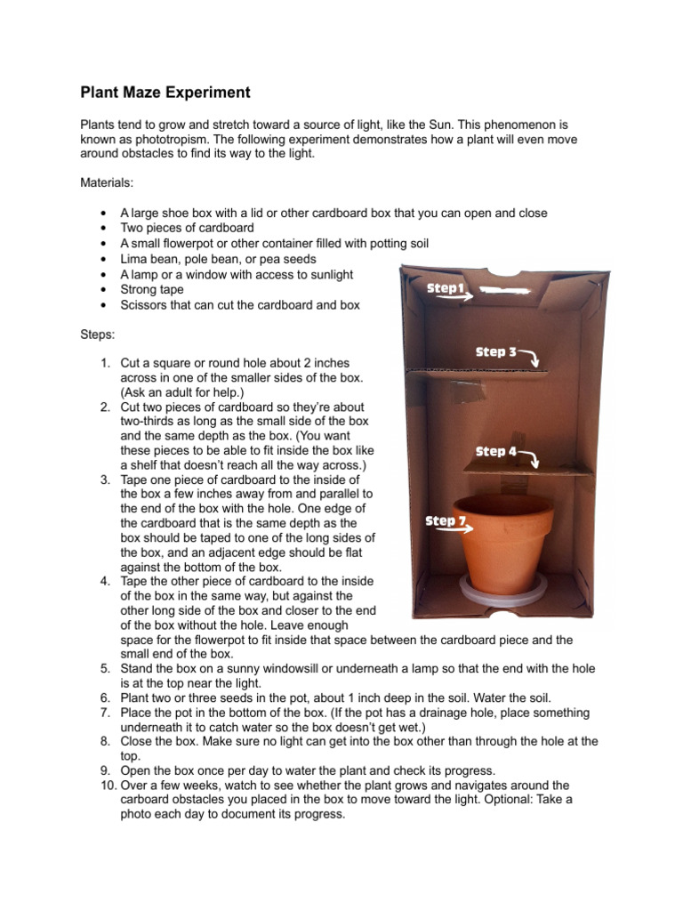 Plant Maze Experiment PDF | PDF | Chess Openings | Chess