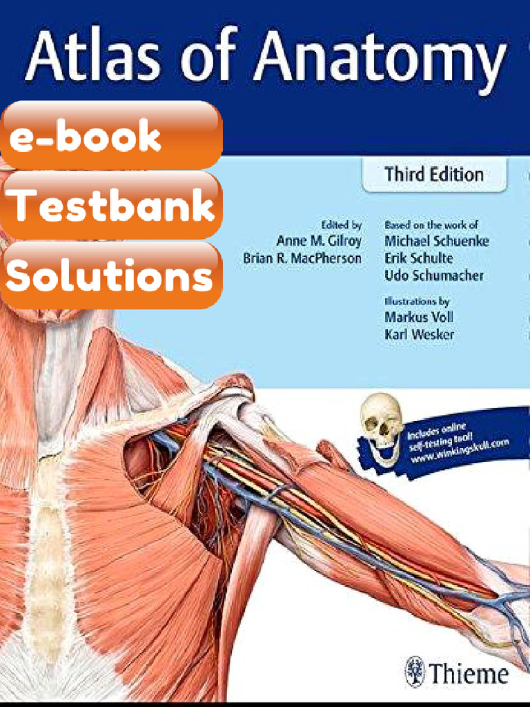 Atlas of Anatomy 3rd Edition Testbank & E-book | PDF | Anatomy ...