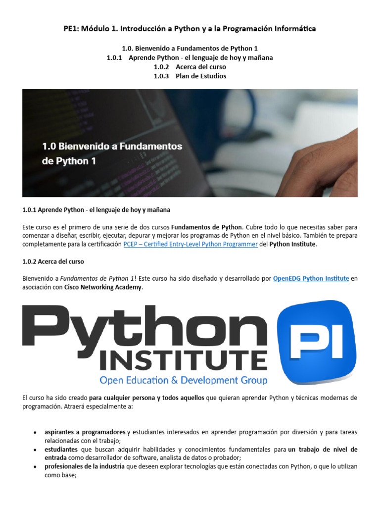 Phyton Essentials 1_5A_Clase 01 | PDF | Python (lenguaje de ...