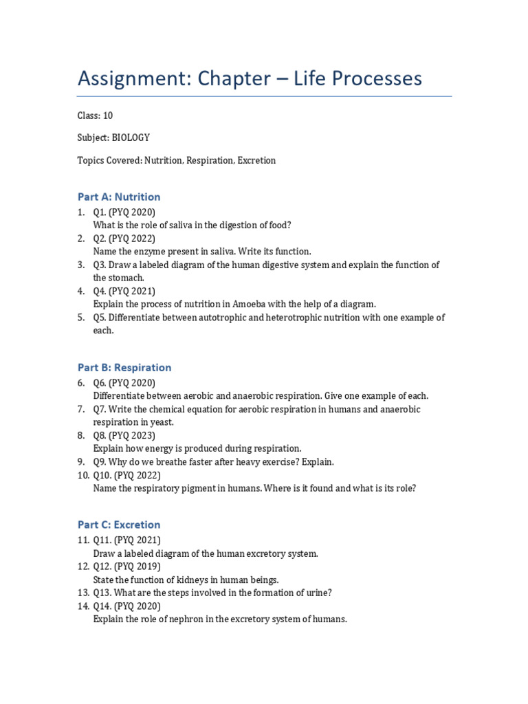 Assignment Life Processes Class 10 | PDF