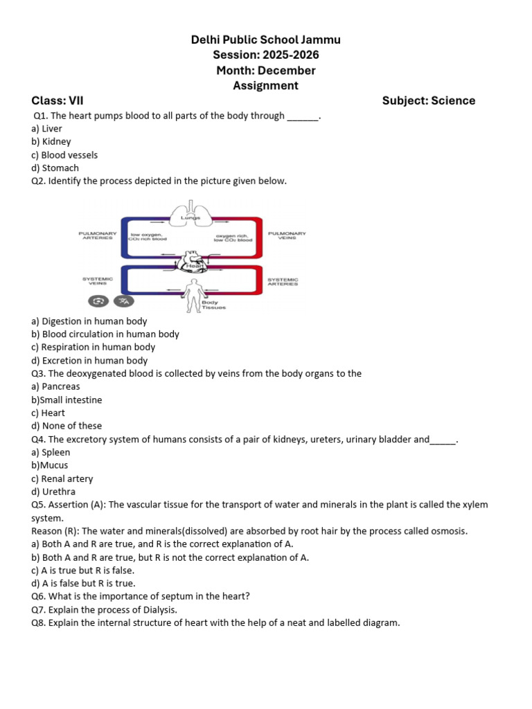 Science VII Assignment Dec | PDF