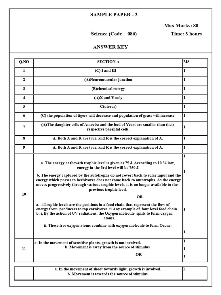 Science Sample Paper 2 Ak | PDF | Redox | Oxide