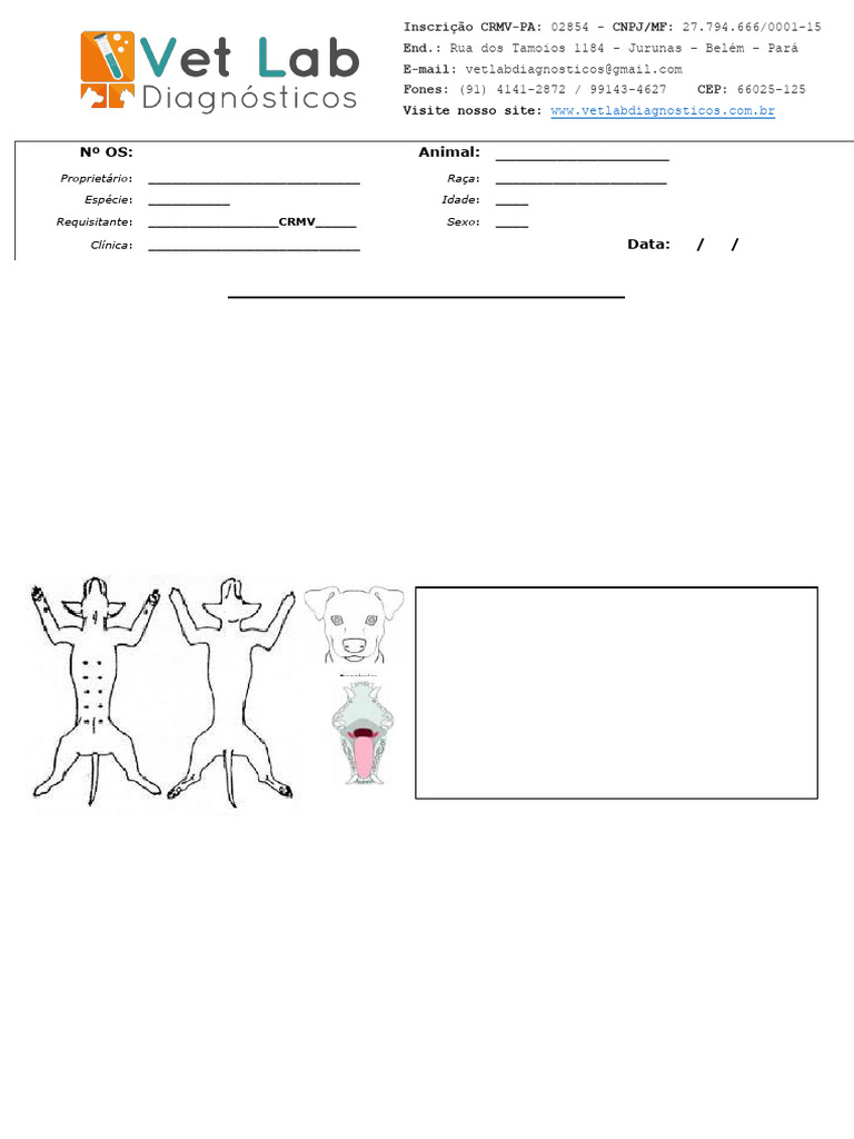 Vet Lab - Requisição Histopatologico | PDF | Medicina Clínica | Remédio
