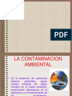 La Contaminacion Ambiental