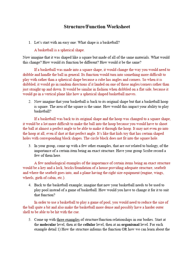 Adelaide Schmitt - Structure - Function Worksheet | PDF | Neuron | Liver
