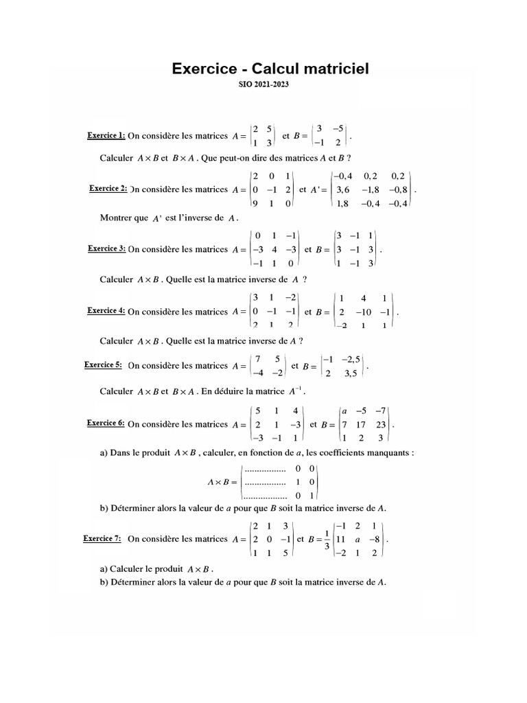 Exercice Matrice | PDF
