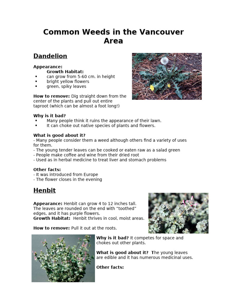 Weed Identification Chart | PDF | Blackberry | Plants