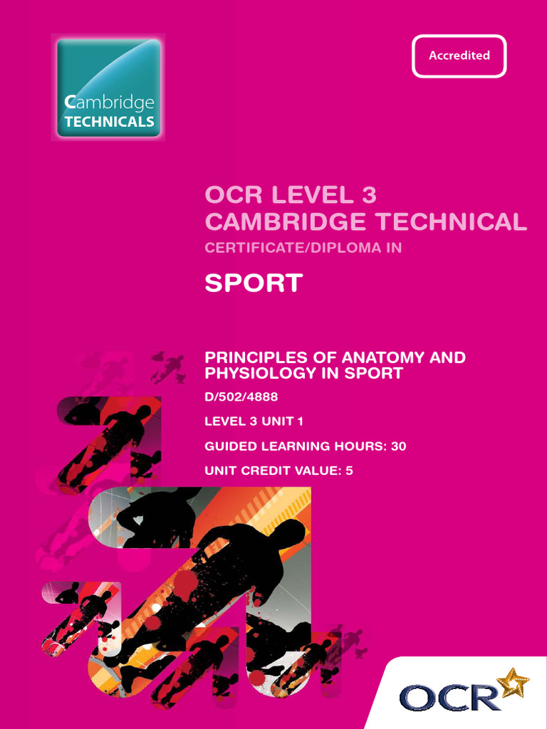 Level 3 Unit 01 Principles of Anatomy and Physiology in Sport | PDF ...