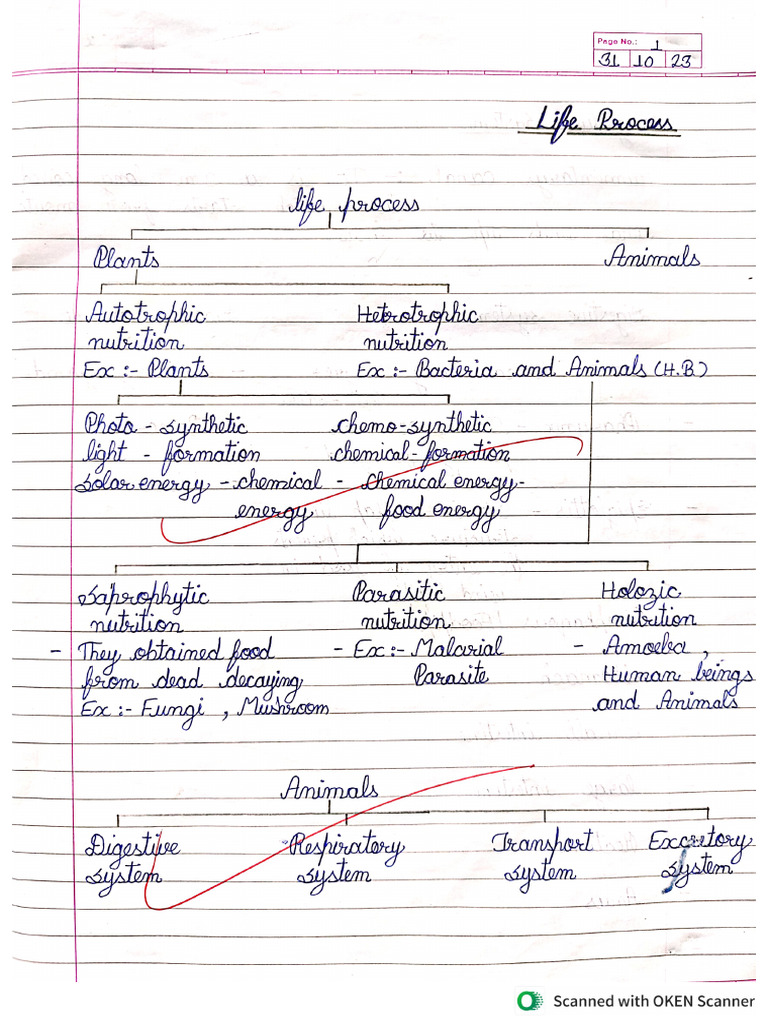 Life process notes 10th | PDF
