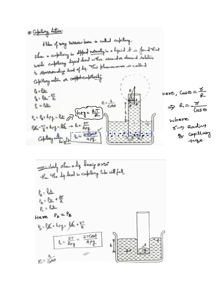 10 Capillary Action | PDF