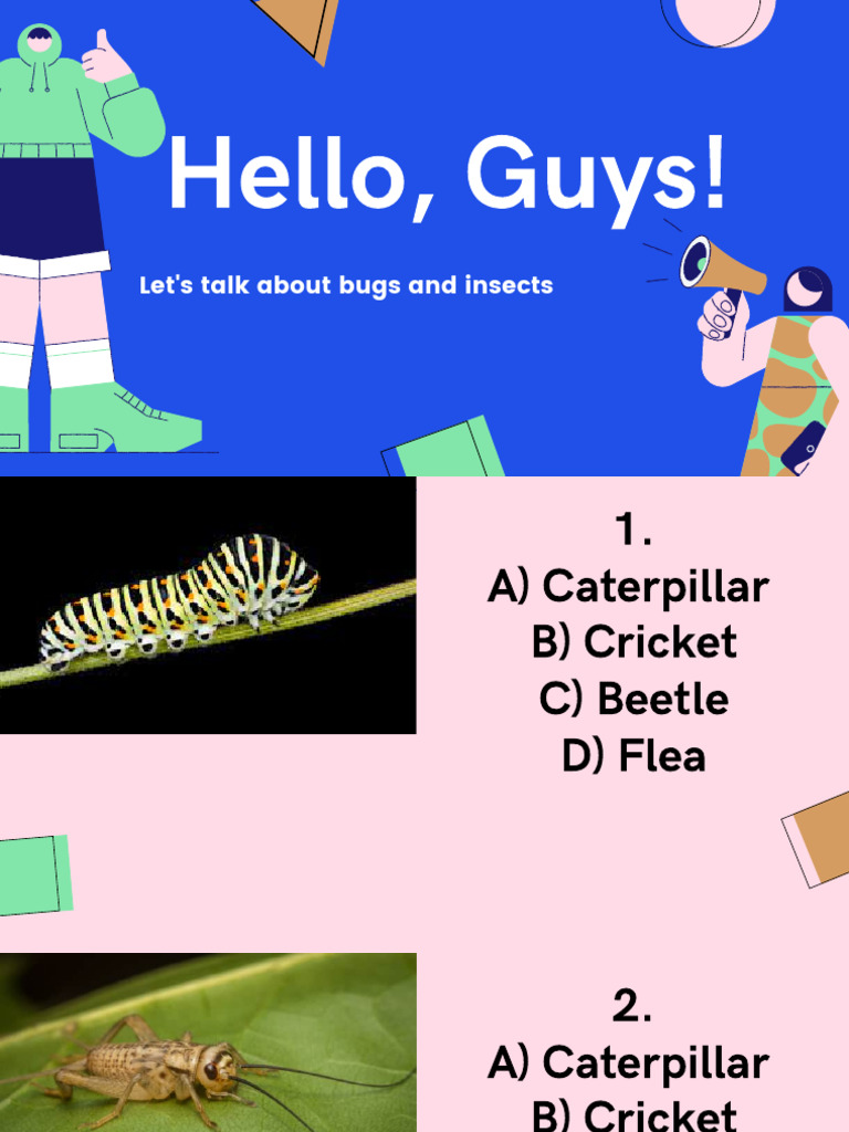 Bugs and Insects Game | PDF