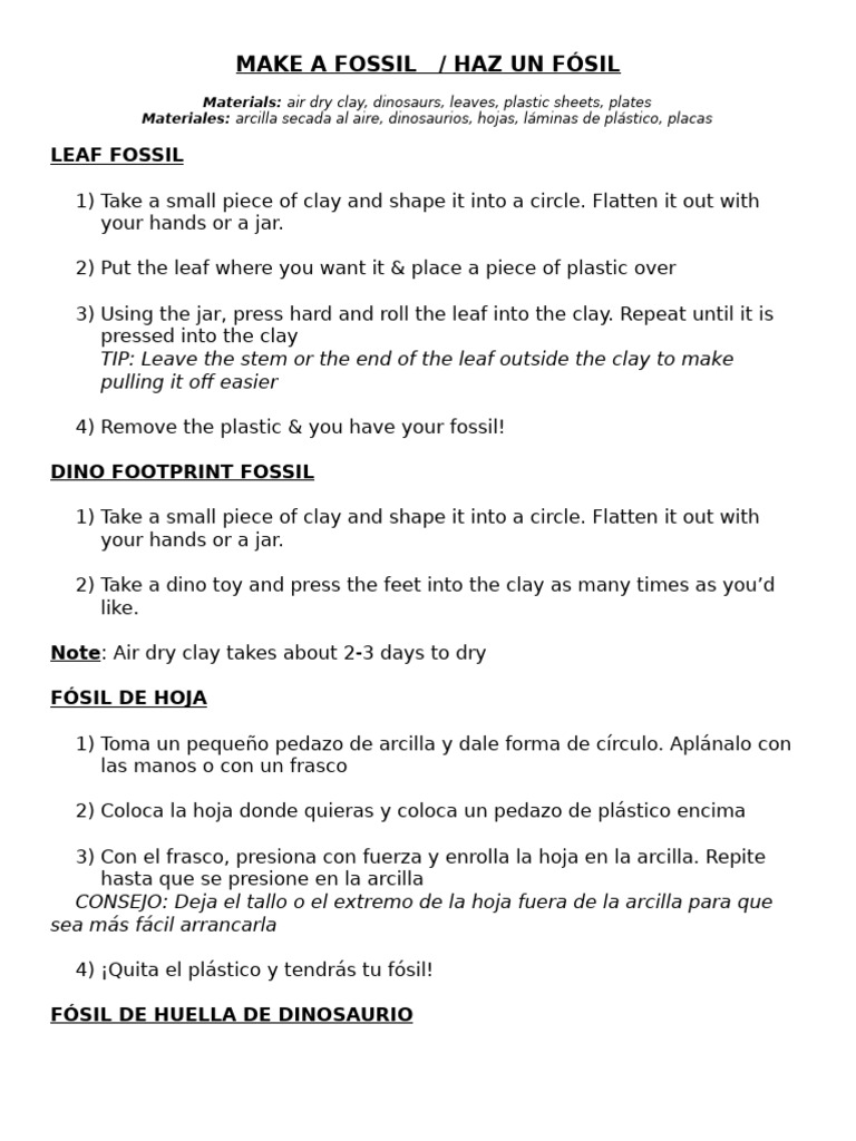 Clay Fossils | PDF