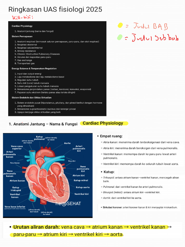 Ringkasan Uas Fisiologi 2025 GH - 260104 - 095142 | PDF