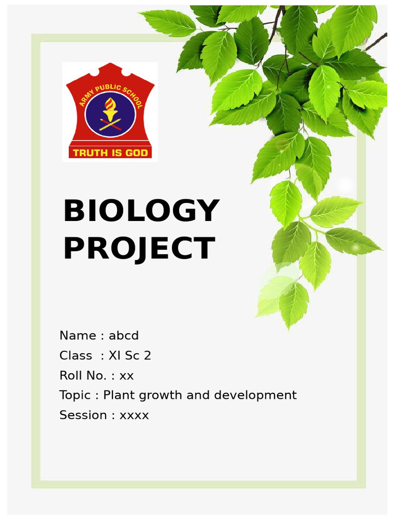 Bio Project Plant Growth (Recovered) | PDF | Plant Hormone | Auxin