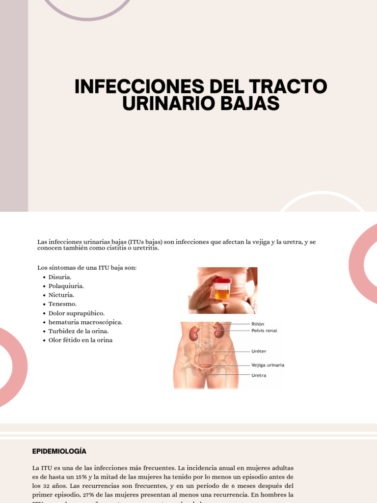 Itus Bajas | PDF | Infección del tracto urinario | Sistema urinario