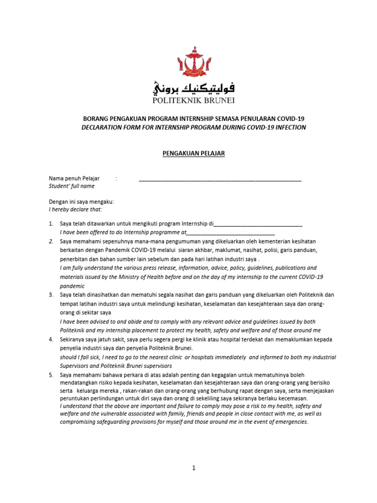 Declaration Form (Internship Programme) | PDF