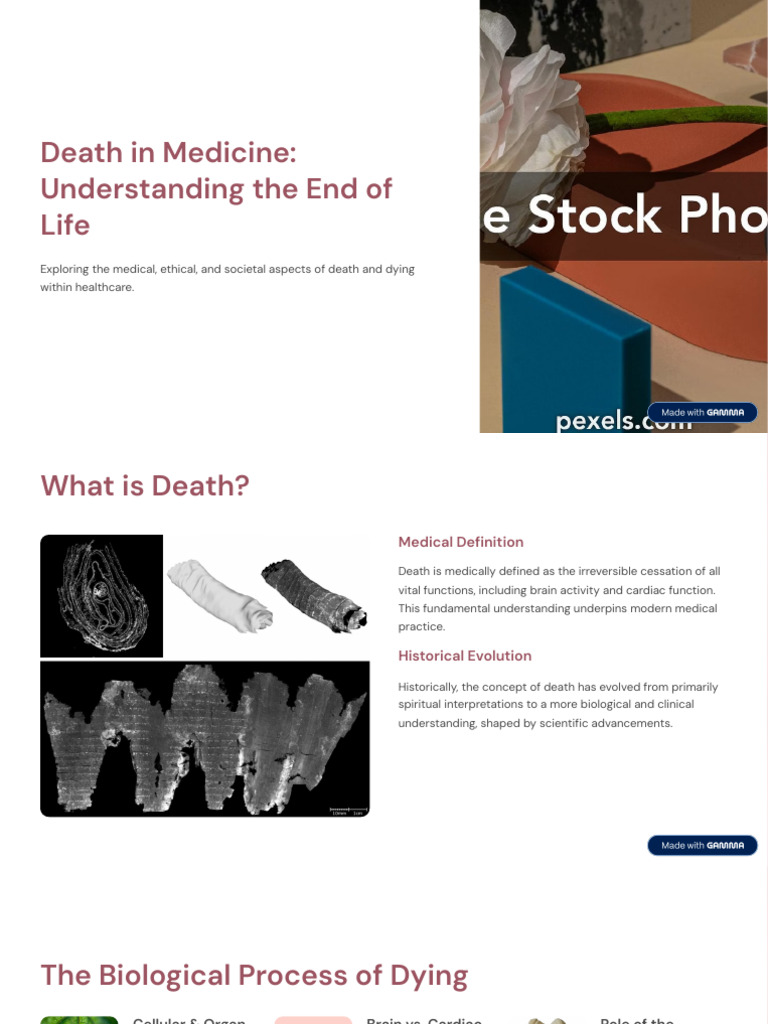 Death in Medicine Understanding The End of Life | PDF
