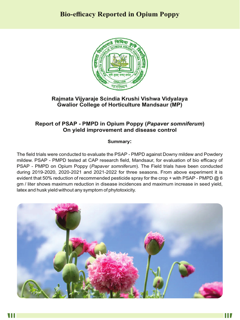 PMPD Bio - Efficacy Reports_Opium Poppy | PDF | Agriculture | Plants