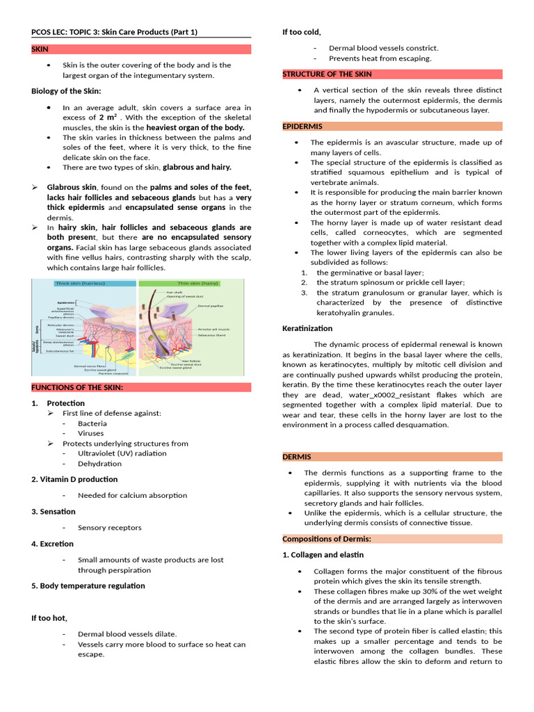 PCOS Lec - Topic Midterms | PDF | Epidermis | Integumentary System