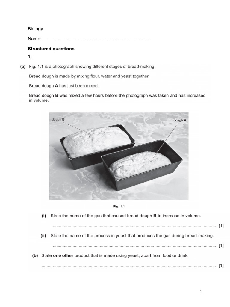 IGCSE Biology Structured Questions Respiration | PDF | Cellular ...