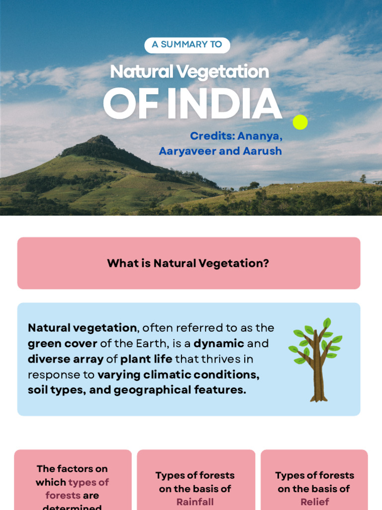 ICSE Class 10 Geo L6 Natural Vegetation | PDF | Forests | Trees