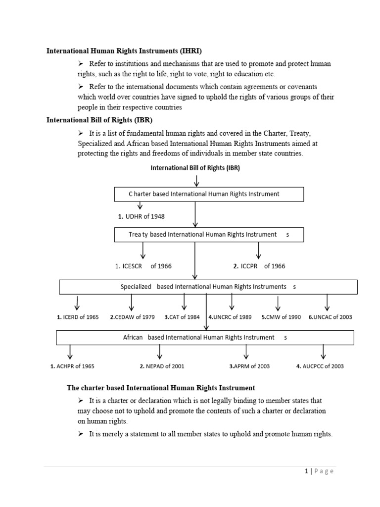 International Human Rights Instruments 2026 | PDF | New Partnership For ...