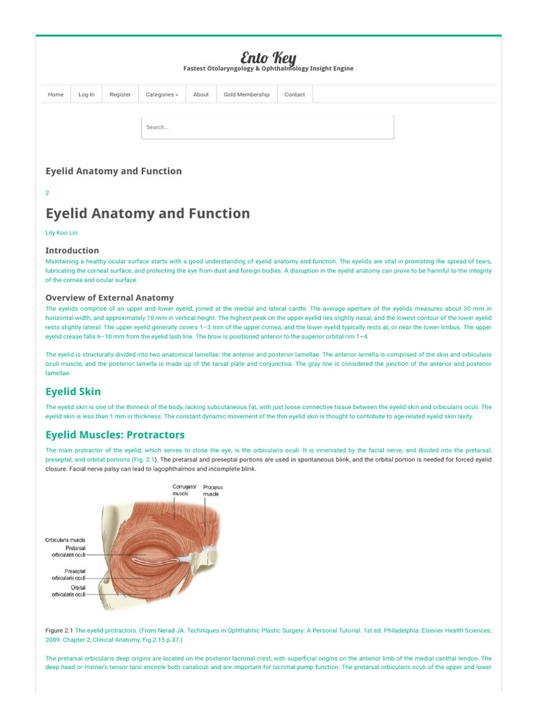 Eyelid Anatomy and Function - Ento Key | PDF | Ophthalmology | Facial ...