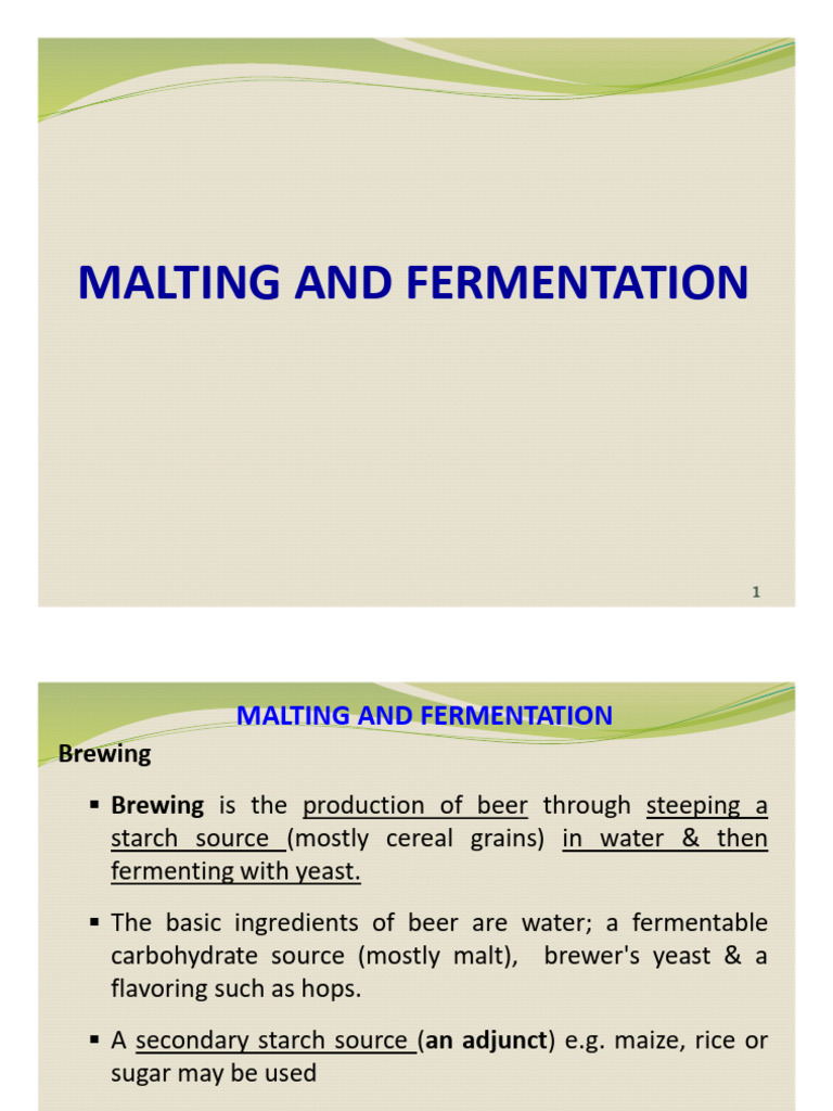 Malting and Fermentation | PDF | Brewing | Malt