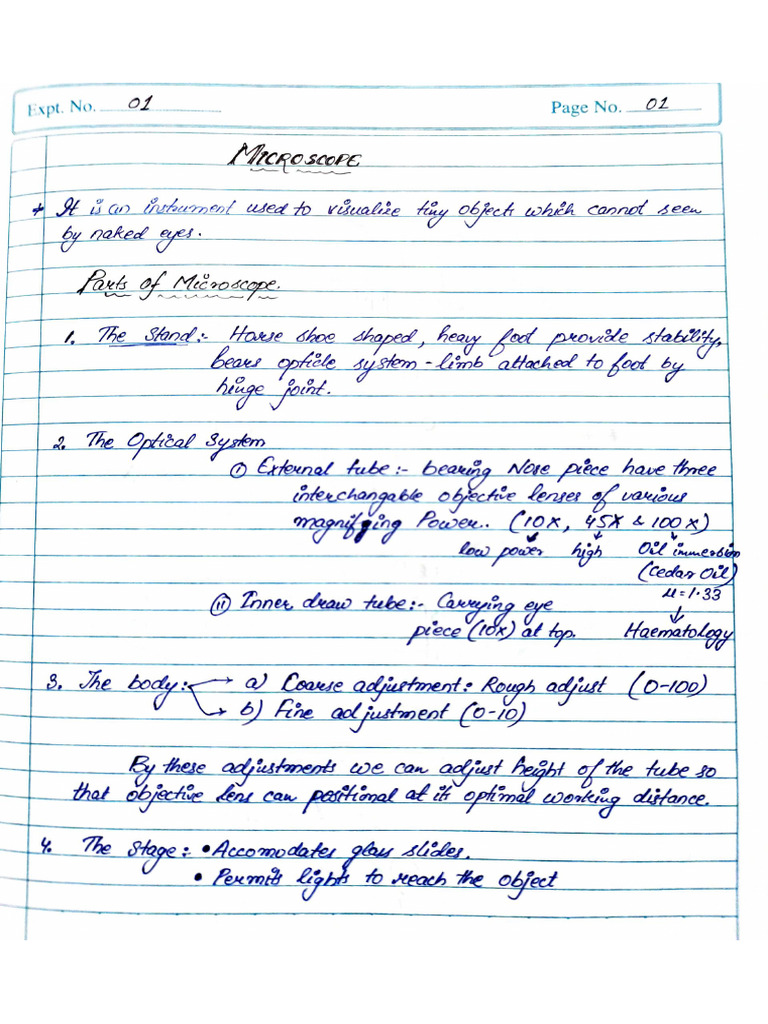Histology Practical | PDF