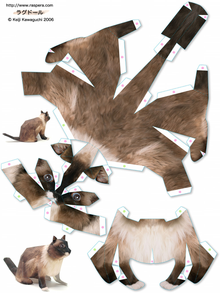 Ragdoll | PDF
