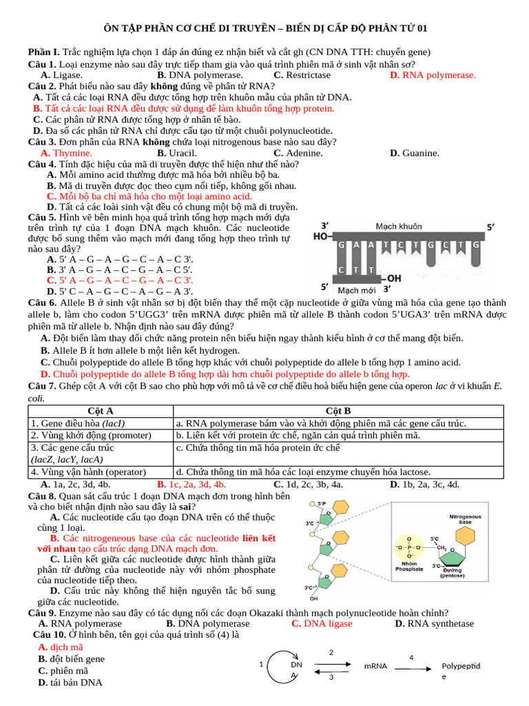 Co Che Di Truyen Phan Tu NC 01 GV | PDF