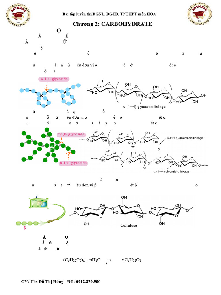 Bài 6 - TINH BỘT VÀ CELLULOSE-12A3 | PDF