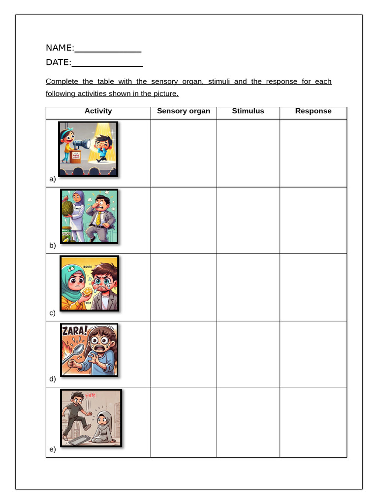 Worksheet Humans Respond To Stimuli | PDF | Stimulus (Physiology) | Senses