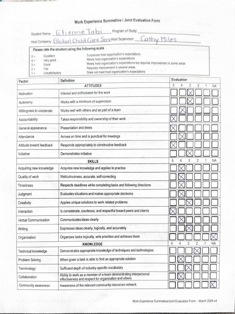 Work Experience Summative: Joint Evaluation Form | PDF