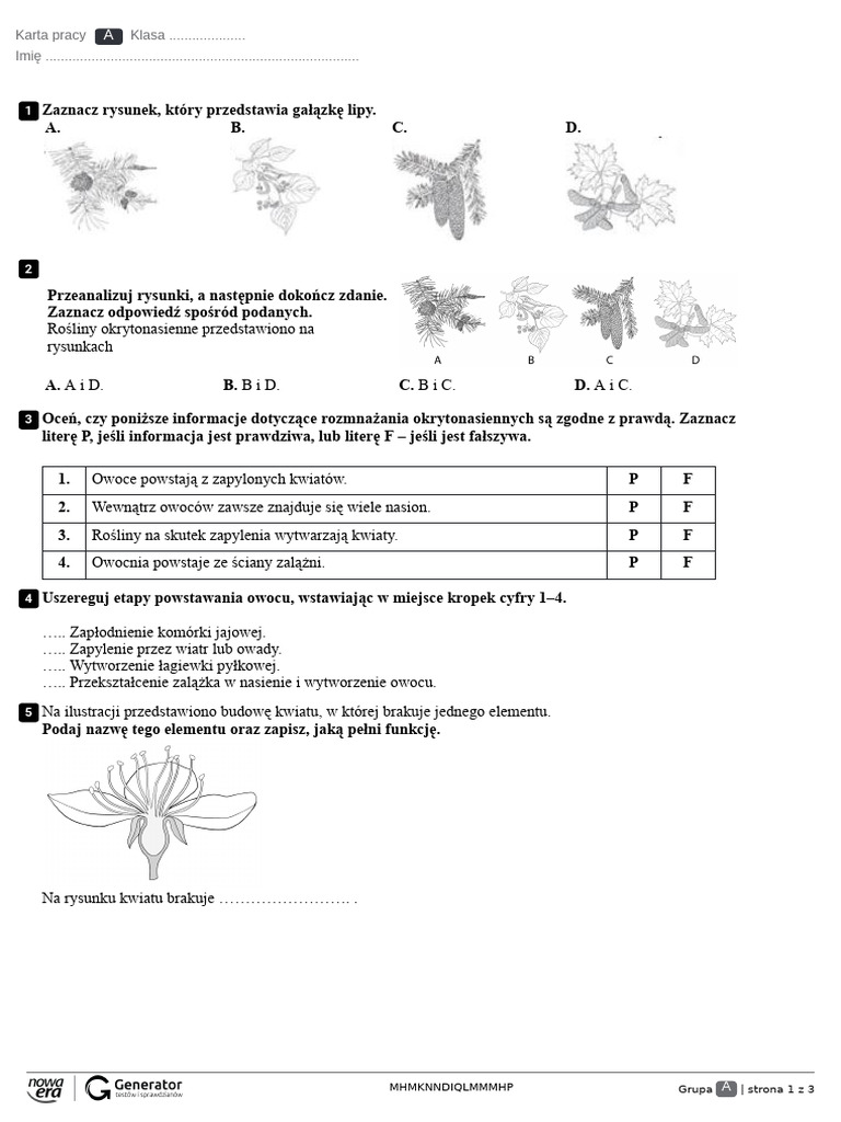 okrytonasienne-karta-pracy-pdf
