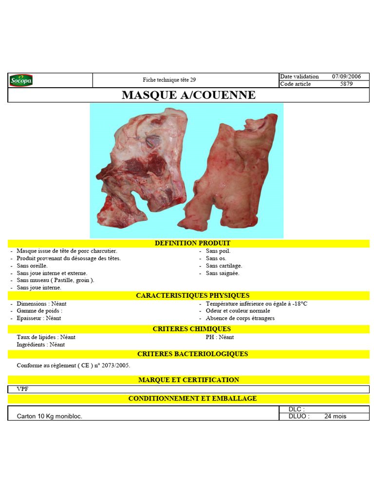 Mask | PDF