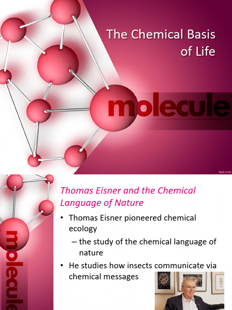 LEC 4 the Chemical Basis of Life | PDF | Chemical Bond | Ion