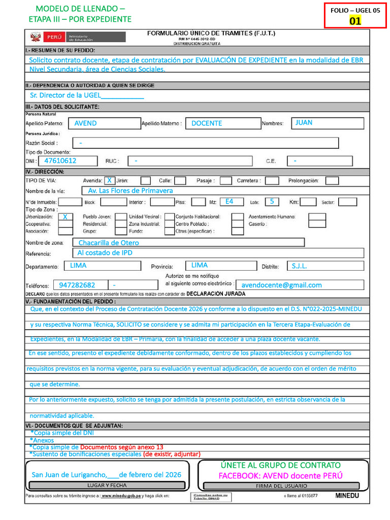 Modelo Por Expediente - Anexos Llenados - Avend Docente 2026 | PDF