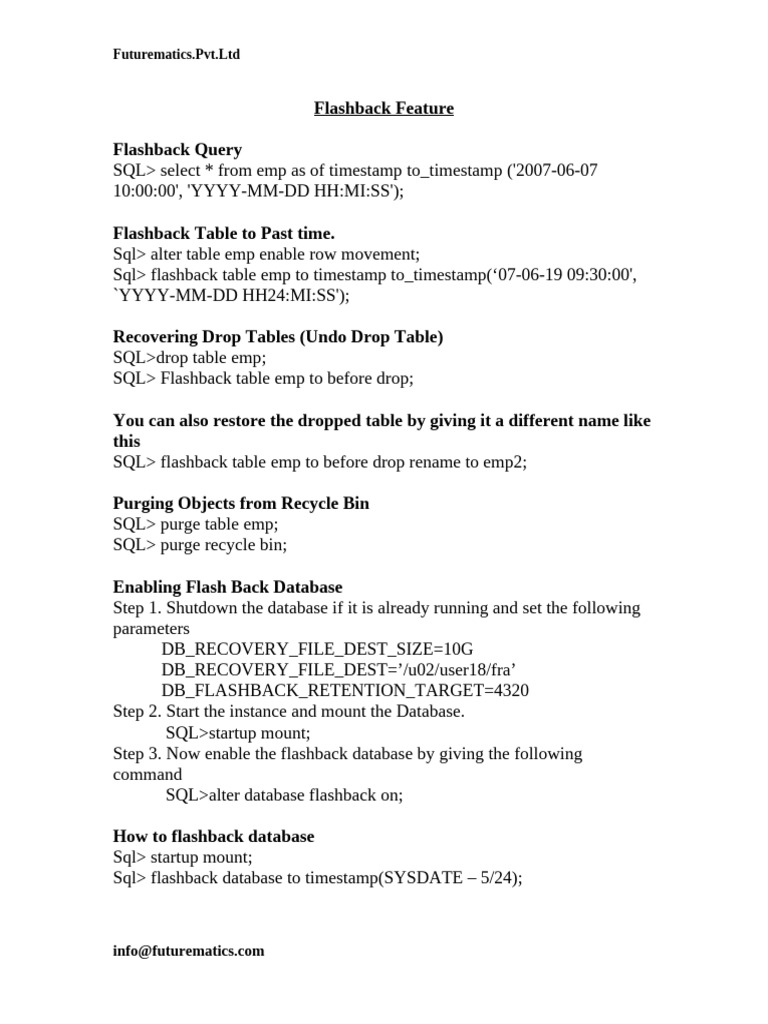 Flashback | PDF