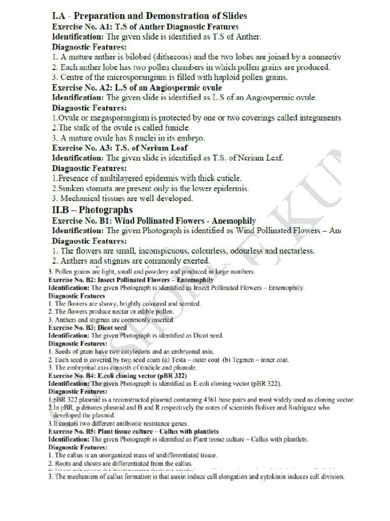 Practical Xii STD Botany 06.02.26 | PDF