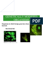 Genetically Modified Organisms