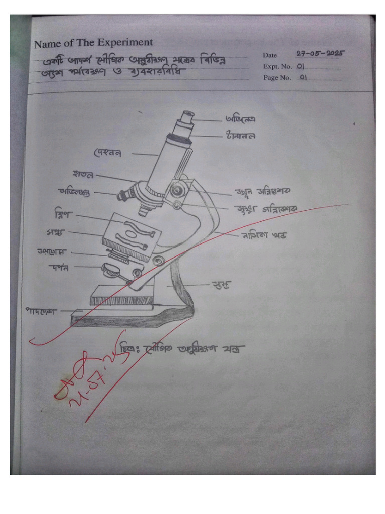 Botany 1st Year | PDF