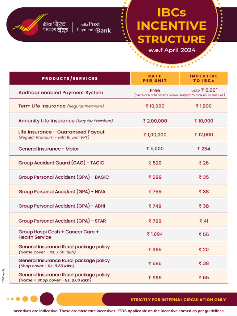 IBC Incentive Structure Final June 2024 Compressed | PDF
