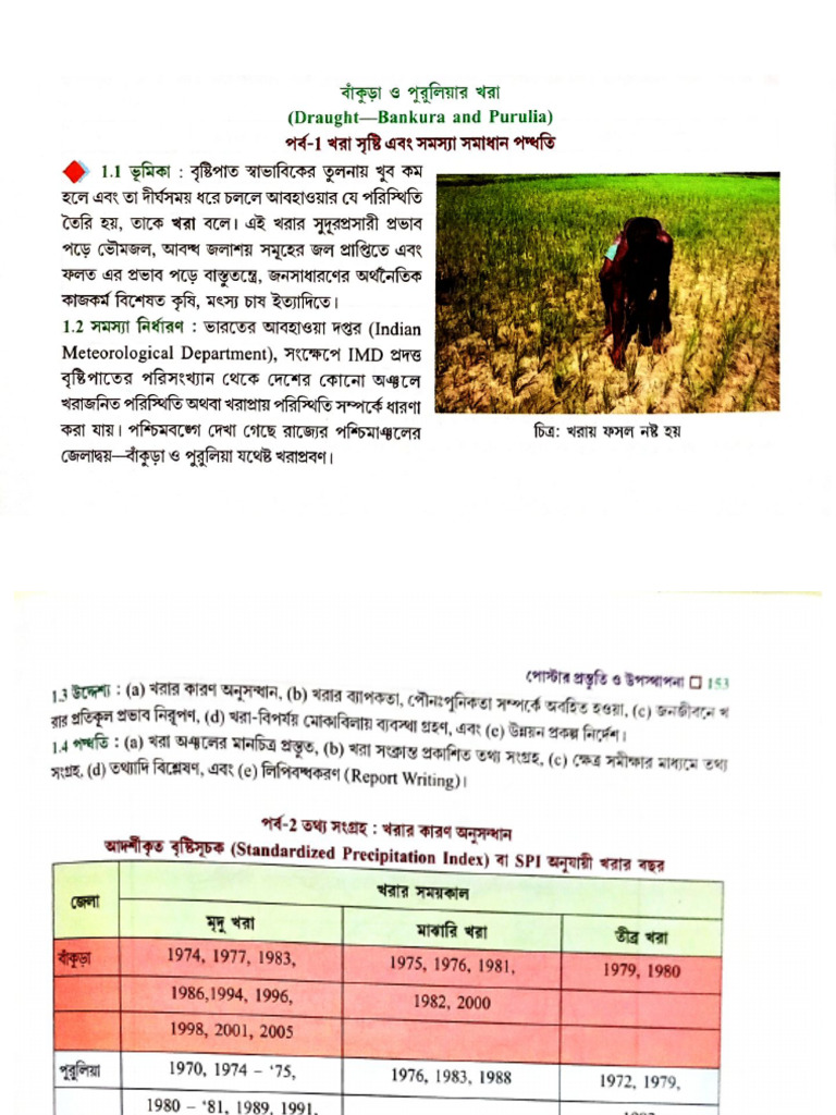 Document 44 | PDF