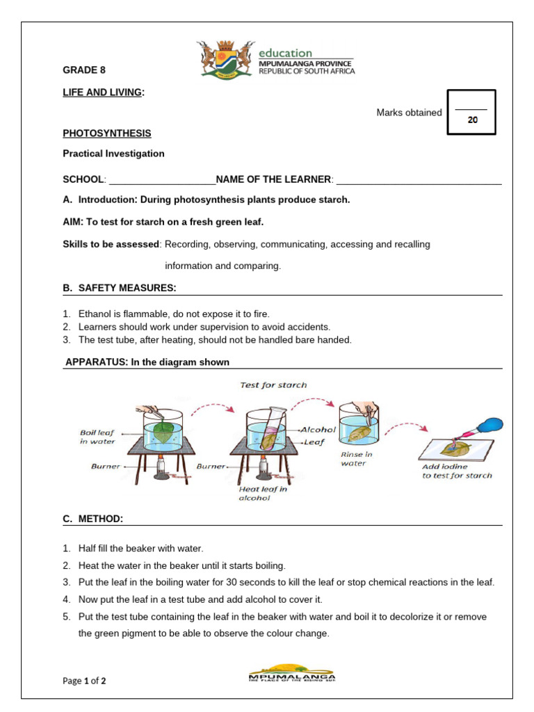 Grade 8 Term 1 Practical Investigation Marking Guidelines | PDF | Water ...